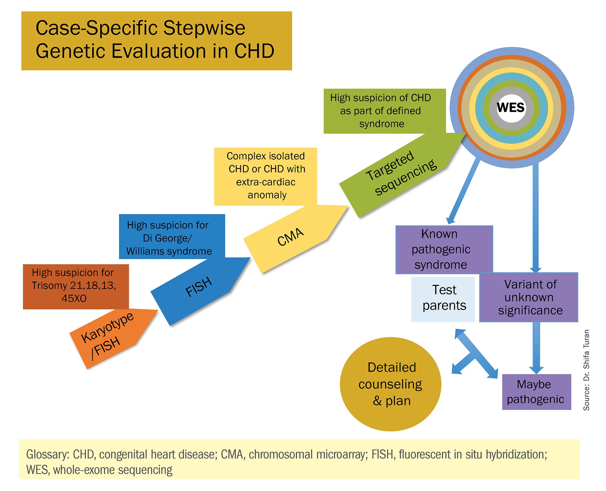 Ijms Free Full Text Genetic Risk Assessment Of Nonsyndromic Cleft