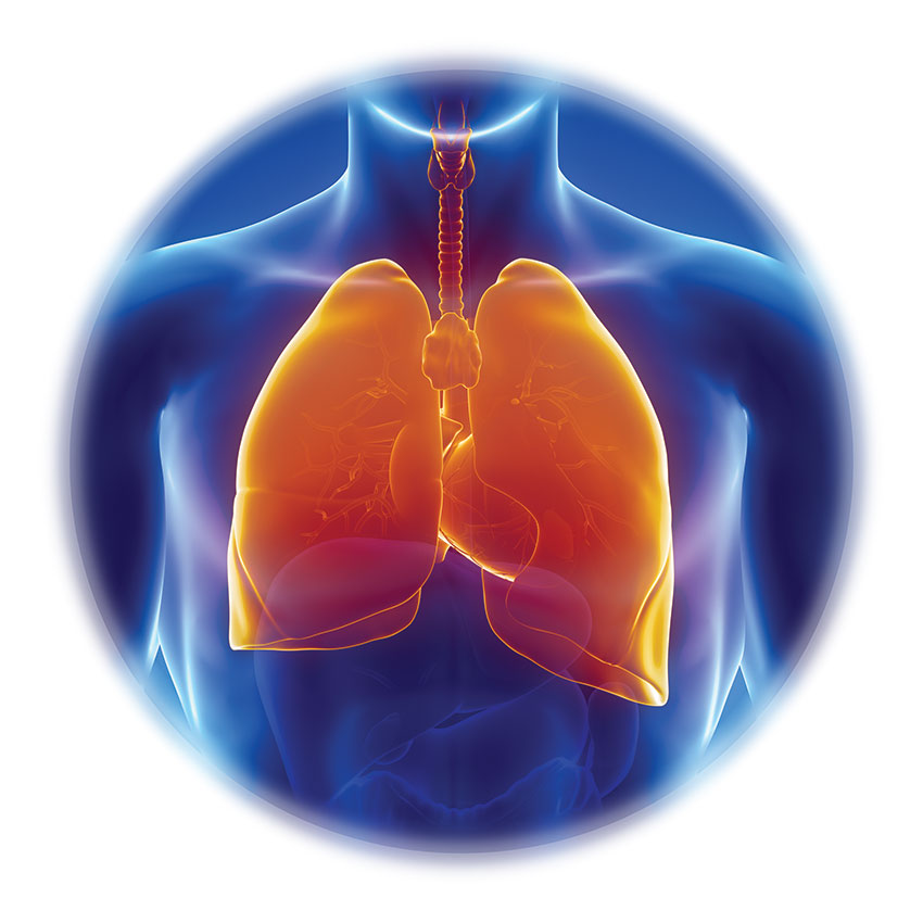 Common Variable Immunodeficiency: A Clinical Overview image