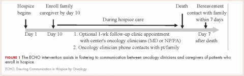 Figure 1 ECHO intervention