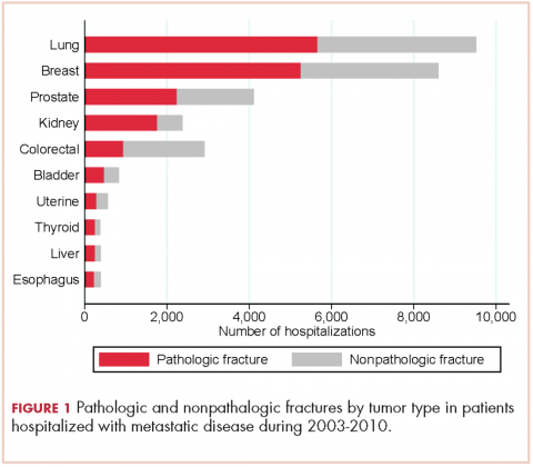 Figure. Pathologic and nonpathologic fractures by tumor type in patients hospitalized with metastatic cancer.