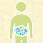 Gut microbiota and its implications for psychiatry: A review of 3 studies