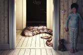 Little boy standing outside of room with snake in other room