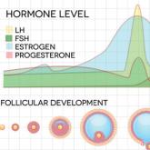 Premenstrual Dysphoric Disorder: Diagnosis and Management in Primary Care