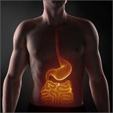 What medical therapies work for gastroparesis?