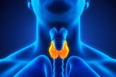 Thyroid