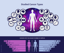 The Pan-Cancer Analysis of Whole Genomes Consortium analyzed more than 2,600 tumor samples from patients with 38 cancer types.