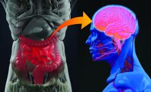 Illustration of gut-brain connection