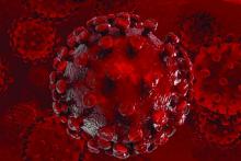 This image is a 3D illustration of the HIV virus.