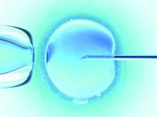 IVF