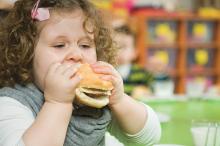 An overweight child eats a hamburger.