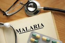 malaria