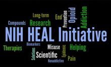 NIH HEAL Initiative word cloud