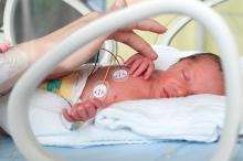 Newborn baby in incubator