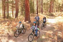 African American Family Cycling Through Fall Woodland.