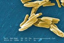 Three potential short-course treatment regimens for tuberculosis failed to show noninferiority to the standard 6-month course.