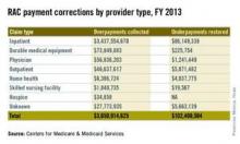RAC payment corrections by provider type, FY 2013