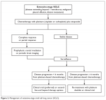 Management of extensive-stage small cell lung cancer (SCLC).