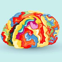 A colorful illustration of the brain