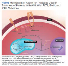 Mechanism of Action for Therapies Used in Treatment of Patients With AML With FLT3, IDH1, and IDH2 Mutations figure