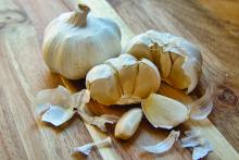 Garlic heads and cloves