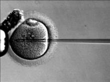 ICSI use was associated with lower implantation rates, pregnancy rates, and live birth rates, despite doubling in popularity since 2006. 