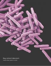 This illustration depicts a 3-D computer-generated image of a cluster of rod-shaped drug-resistant Mycobacterium tuberculosis bacteria, the pathogen responsible for causing TB.