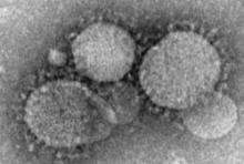 There is no treatment for MERS-CoV, which can range from mild to severe.