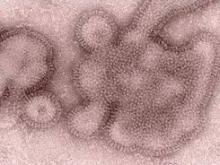 Triple therapy achieved a therapeutic effect with lower doses of component drugs in an in vitro study of the treatment for an H3N2 variant.