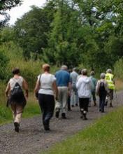 Group walk in Epsom, England Photo courtesy of Walking for Health/Paul Glendell