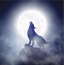 wolf howling at the moon